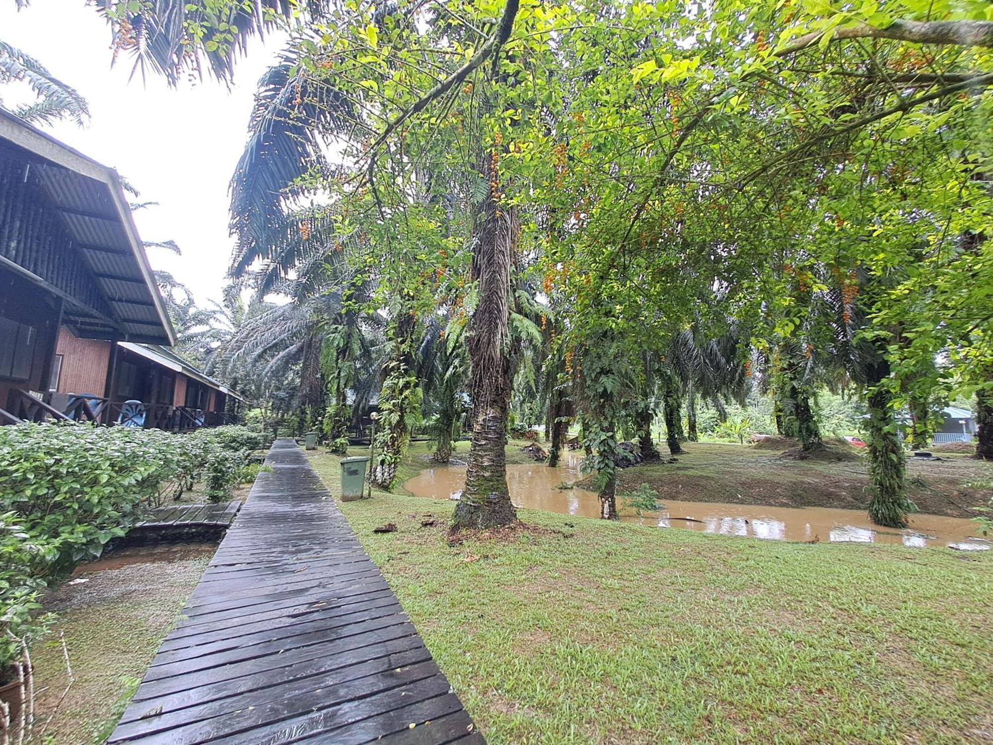 Sukau苏考背包客住宿加早餐旅馆住宿加早餐旅馆 外观 照片